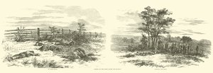 Scener på fältet efter slaget, september 1862 av American School