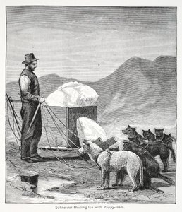 Schneider drar is med valplaget, pub. London 1886 av American School