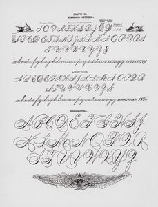 Standardbokstäver; Damernas hand; Helarmshuvuden (gravyr) av American School