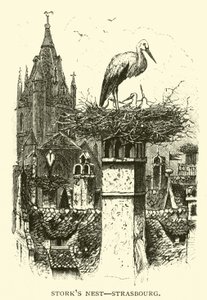 Storkbo, Strasbourg av American School