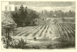 Andersonvilles gravfält där 14 000 fackliga fångar begravdes, maj 1865 av American School