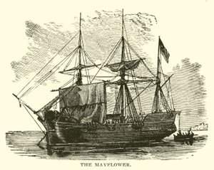 Majblomman av American School