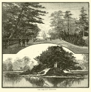 Mikados Grounds av American School