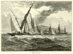 Röda havet av American School
