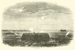 Träskängeln, augusti 1863 av American School