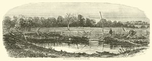 Vetefältet där Reynolds föll, juli 1863 av American School