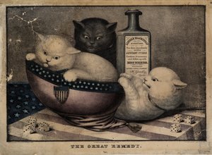 Det stora botemedlet, utgivet av E.B. och E.C. Kellogg, Hartford Ct., och Phelps och Watson, New York, och F.P. Whiting, New York, ca. 1863 av American School