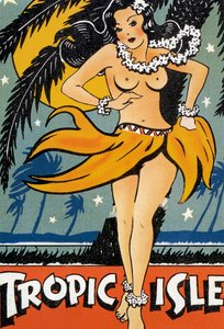 Tropic Isle Poster av American School