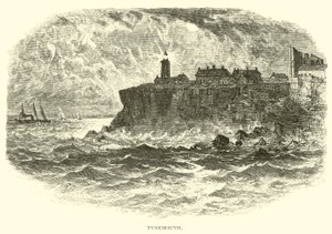 Tynemouth av American School