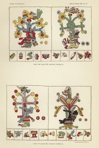 Vatikanens Codex av American School