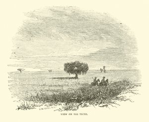 View on the Teche, april 1863 av American School