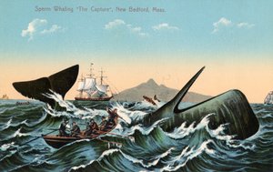 Valfångare som harpunerar en kaskelot utanför New Bedford, Massachusetts av American School