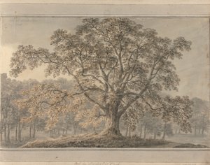 Utsikter i England, Skottland och Wales: Ash i Londesbro Park, maj 1800 av Amos Green