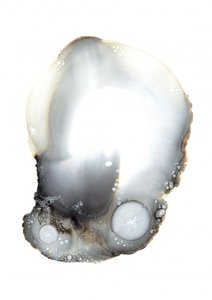 Prov XI av Amy Louise Baker