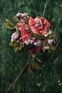 Eve_09, 2016 (Fotografi) av Ana Carolina Tavares Mizrahi