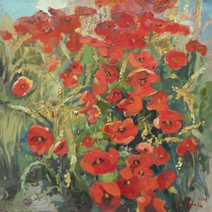 Sommarens vallmofält av Anastasiia Grygorieva