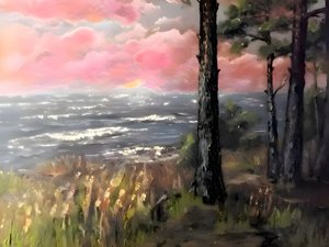 Rosa himmel, hav och solnedgång