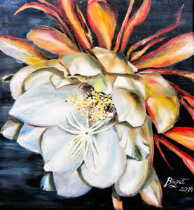 Nattblommans drottning