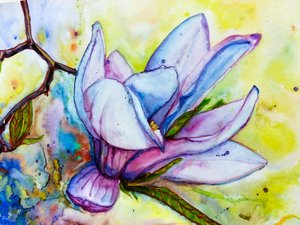 En färgsprakande magnoliablomma av Anda Bieza