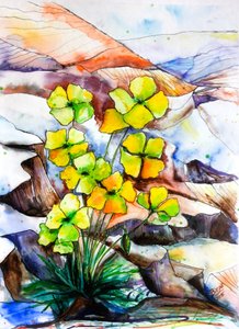 Färgsprakande bergsblommor av Anda Bieza