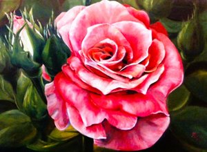En livfull rosa ros i full blom