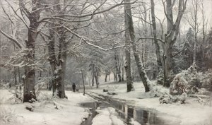 Frost väder i en bokskog
