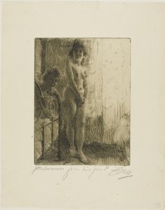 Ett mörkt hörn av Anders Leonard Zorn
