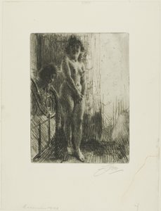 Ett mörkt hörn av Anders Leonard Zorn