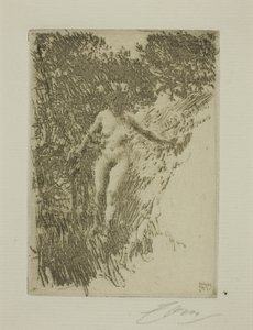 Småskog av Anders Leonard Zorn