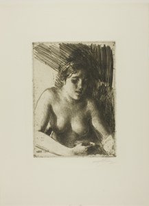 Sätta dit av Anders Leonard Zorn