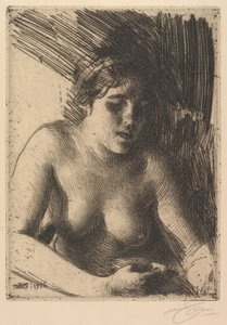 Sätta dit av Anders Leonard Zorn