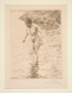 dollar av Anders Leonard Zorn