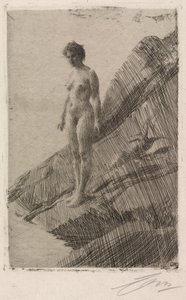 Detta är det av Anders Leonard Zorn