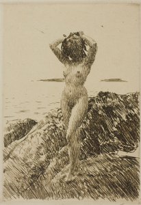 Hårtång (tångkrans) av Anders Zorn