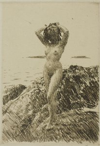 Hårtång (tångkrans) av Anders Leonard Zorn