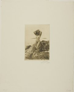 Hårtång (Sjövedskrans) av Anders Leonard Zorn