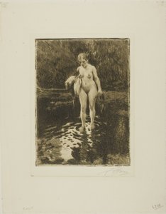 Forden av Anders Leonard Zorn
