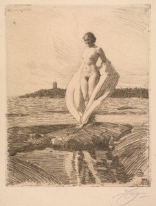 Svanen av Anders Leonard Zorn