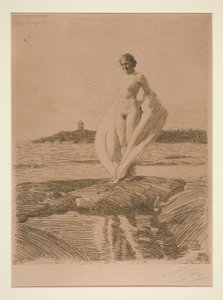 Svanen av Anders Leonard Zorn