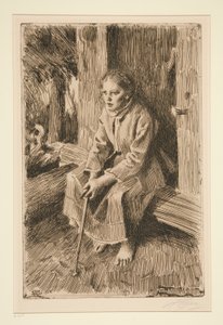 Med protein av Anders Leonard Zorn