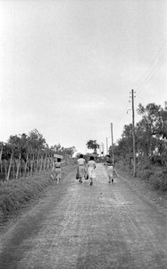 BITTRA DRUVOR - MOT DET TILLDELADE INLÄGGET av Ando Gilardi