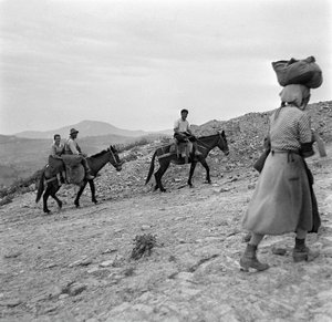 Bönder på väg hem från fälten i Lucania, Basilicata, Italien