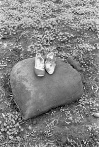 SKOR AV EN RACCOGLITRICE AV OLIVER av Ando Gilardi