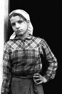 Ung flicka arbetar som olivplockare i Kalabrien, Italien, ca 1955 (svartvitt foto)