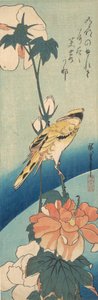 En svartnackad oriole på en stam av rosenmalva, ca. 1834., ca. 1834. av Ando Hiroshige