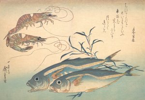 Aji Fish and Kuruma-ebi, från serien Uozukushi Every Variety of Fish, 1830-talet, 1830-talet.