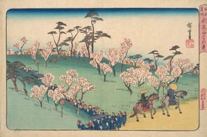 Asukayama körsbärsblomning. av Ando Hiroshige