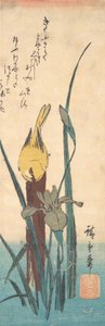 Fågel och Iris. av Ando Hiroshige