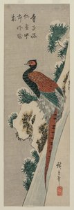 Kopparfasan vid Snowy Waterfall, sent 1830-tal eller tidigt 1840-tal. av Ando Hiroshige