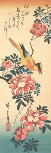 Östra grå vipstjärt och ros, tidigt 1830-tal, tidigt 1830-tal. av Ando Hiroshige